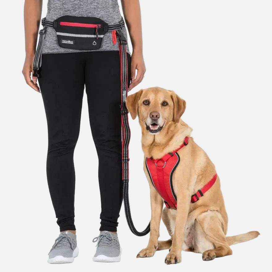 Trespaws Hands Free Dog Running Lead Chester