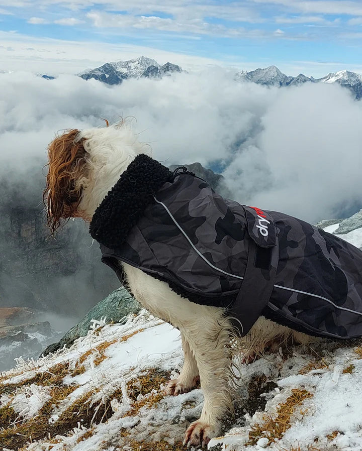 Dryrobe® Dog