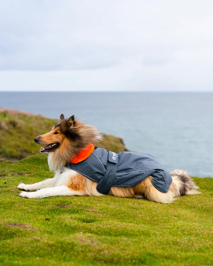 Dryrobe® Dog