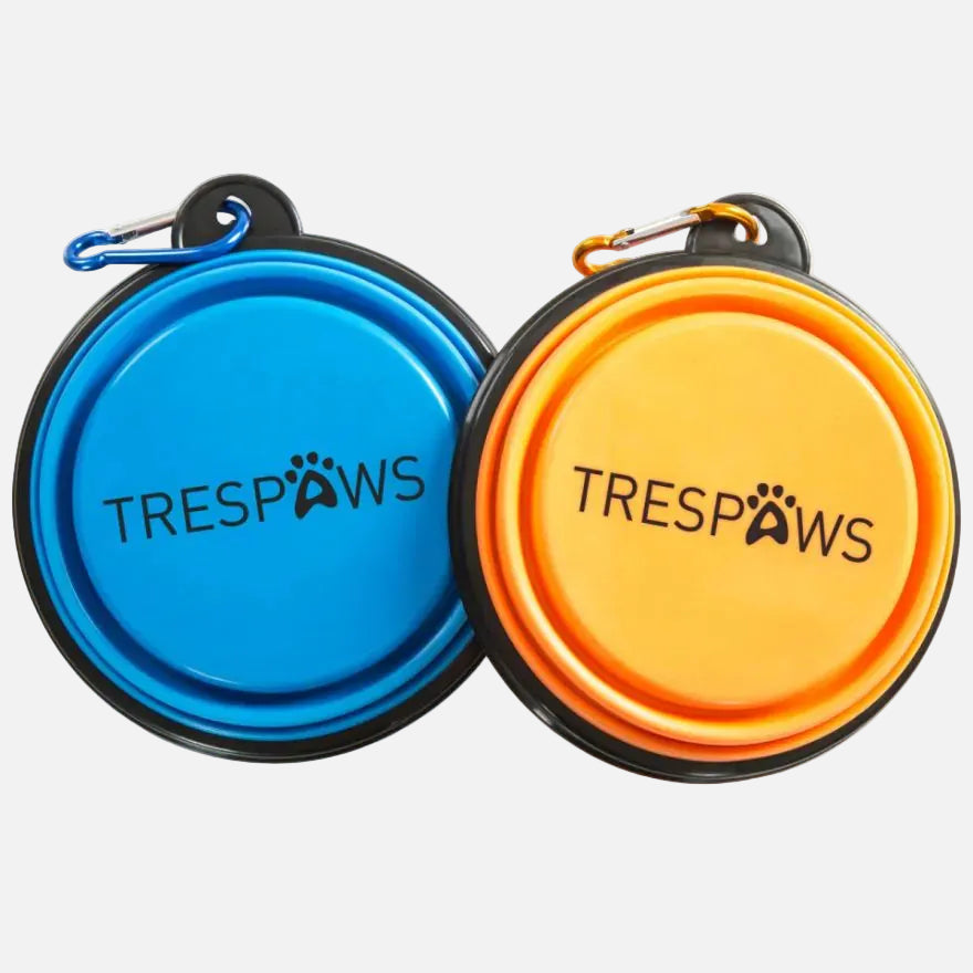 Trespaws Collapsible Dog Bowl Sippy